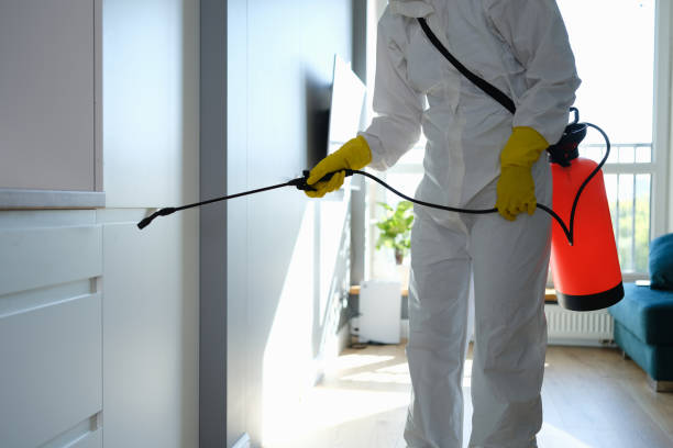 Home Mold Removal in Robbins, IL